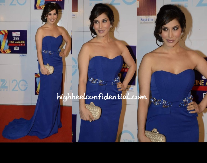 sophie-choudry-falguni-shane-peacock-zee-cine-awards-2013