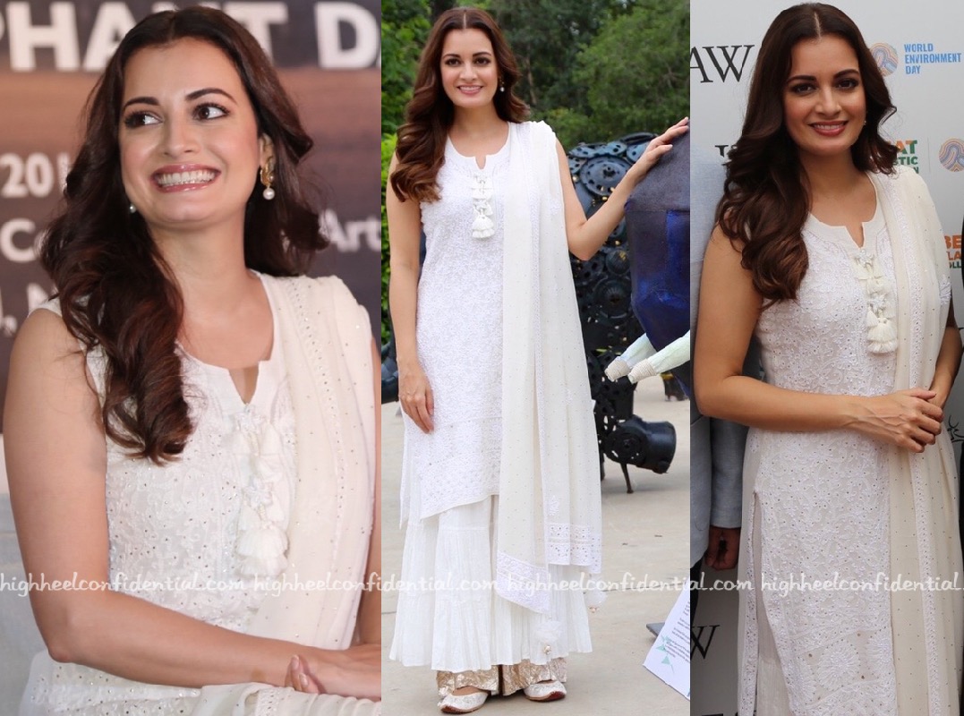 Dia Mirza At World Elephant Day 2018 Event - High Heel Confidential