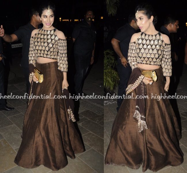 sophie-choudry-manish-malhotra-bachchan-diwali-bash